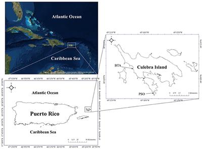 Effects of Changing Weather, Oceanographic Conditions, and Land Uses on Spatio-Temporal Variation of Sedimentation Dynamics along Near-Shore Coral Reefs